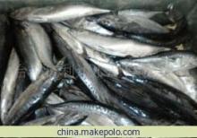 鰹魚(yú)冷凍粗加工產(chǎn)品 - 臺(tái)州億利達(dá)水產(chǎn)專業(yè)供應(yīng)