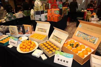 人氣爆棚！“臺九鮮”高調(diào)亮相農(nóng)博會 臺州